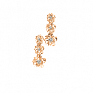Earring - Jewelry