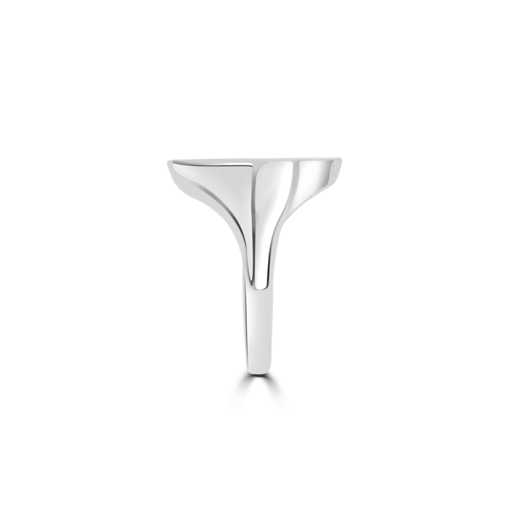 Map of Africa Signet Ring - Image 4